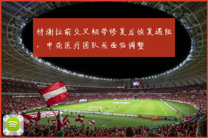 特谢拉前交叉韧带修复后恢复遇阻，申花医疗团队或面临调整